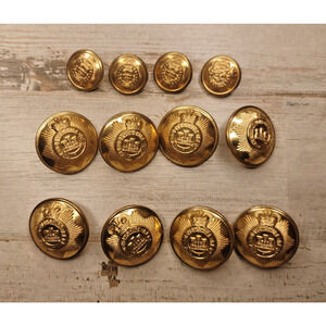 Vintage Reproduction Devonshire Regiment Kings Crown Goldtone Buttons British